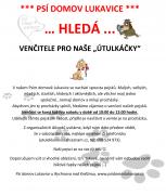 Obrázek  - Hledáme venčitele