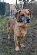 Obrázek Adopce na dálku - Ben