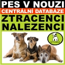pesvnouzi.cz