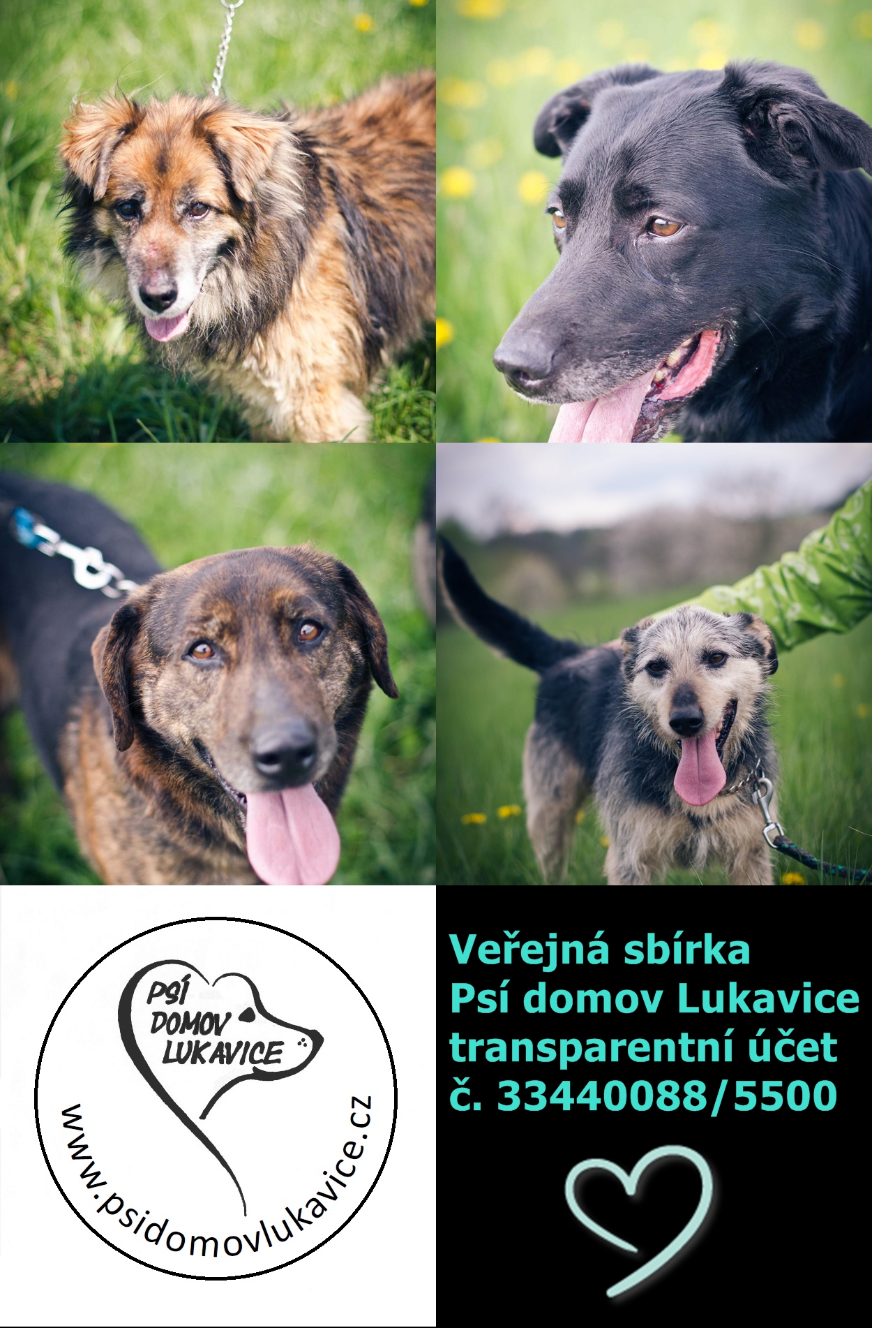Veřejná sbírka Veřejná sbírka
